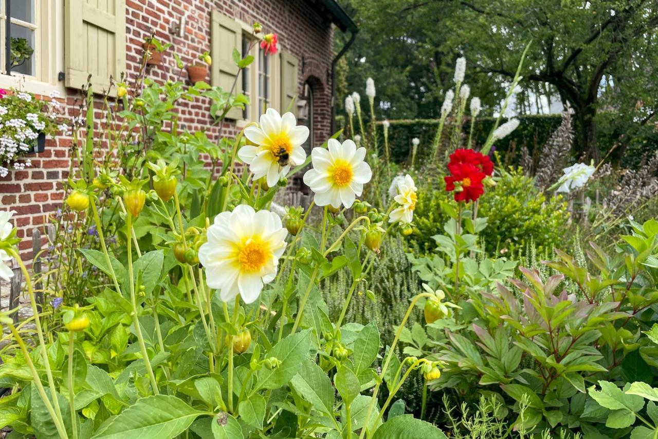 B&B De Paenhoeve Eksel ภายนอก รูปภาพ